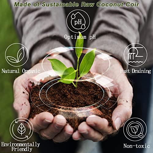 8 Pcs Organic Coco Coir Bricks D86048