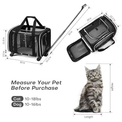 Purple Soft Side Dog Carrier Bag with Wheels Q730747