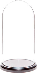 Glass Display Dome Cloche with Black Wood Base D415