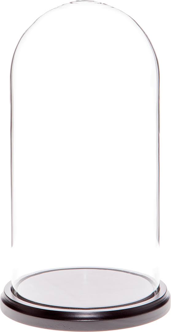 Glass Display Dome Cloche with Black Wood Base D415