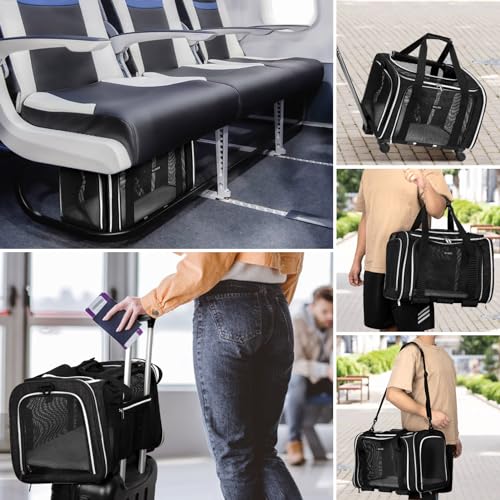 Purple Soft Side Dog Carrier Bag with Wheels Q730747