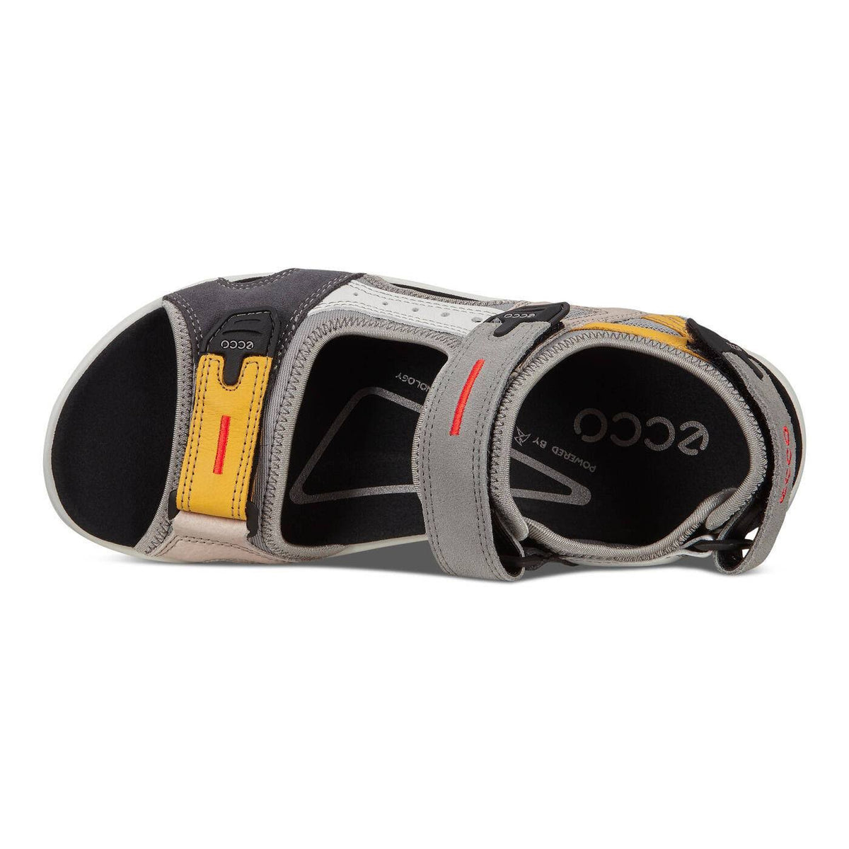 Multicolor Shoes Y5233