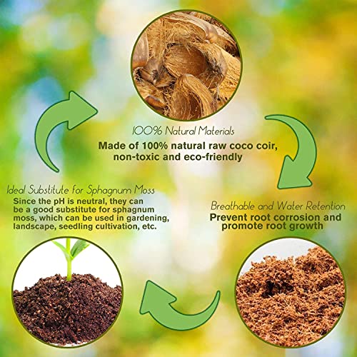 8 Pcs Organic Coco Coir Bricks D86048