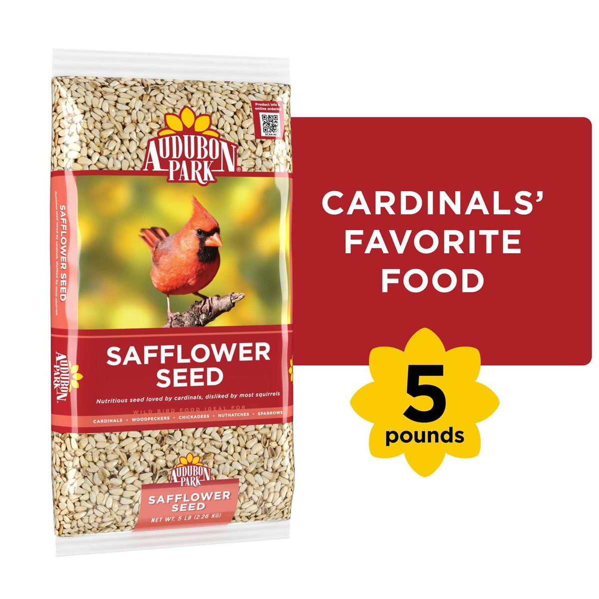 Safflower Seed Wild Bird Food D33272