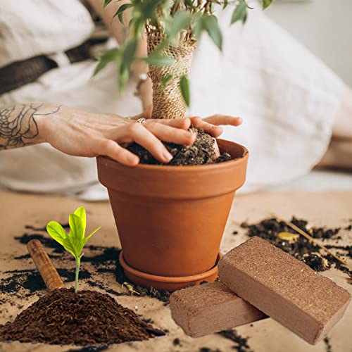 8 Pcs Organic Coco Coir Bricks D86048