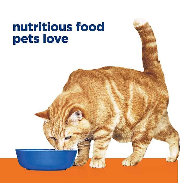 Ocean Fish Wet Cat Food R4343