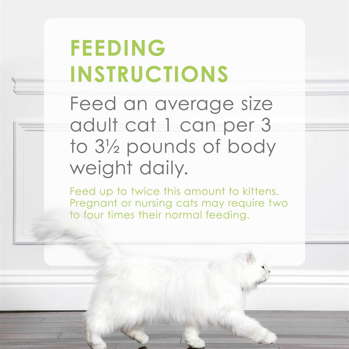 Grilled Cat Food B48290
