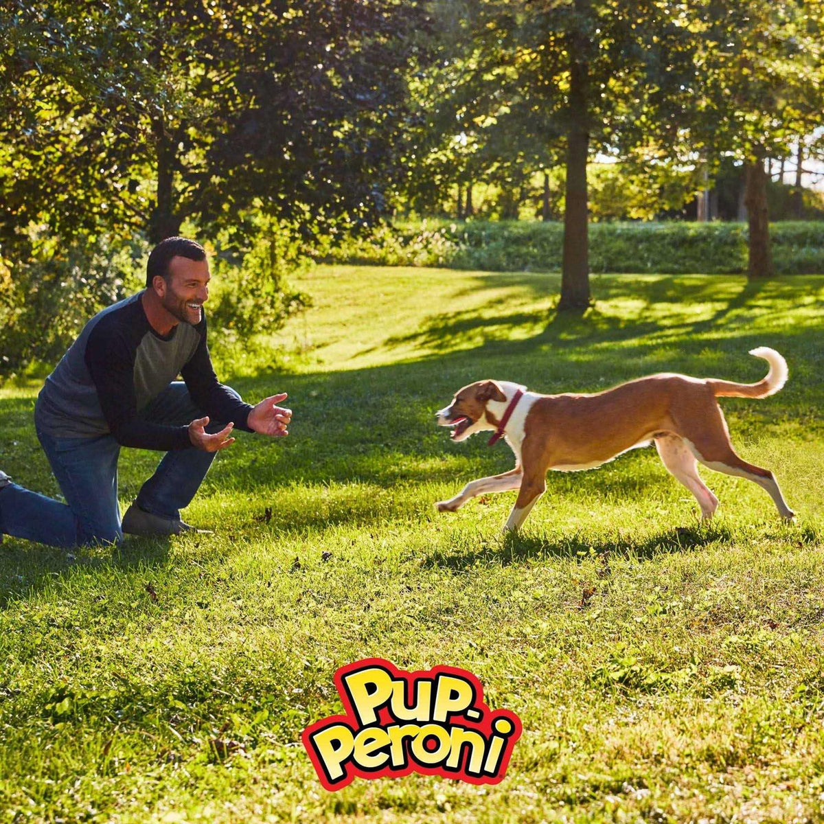 Pup-Peroni Triple Dog Z47575