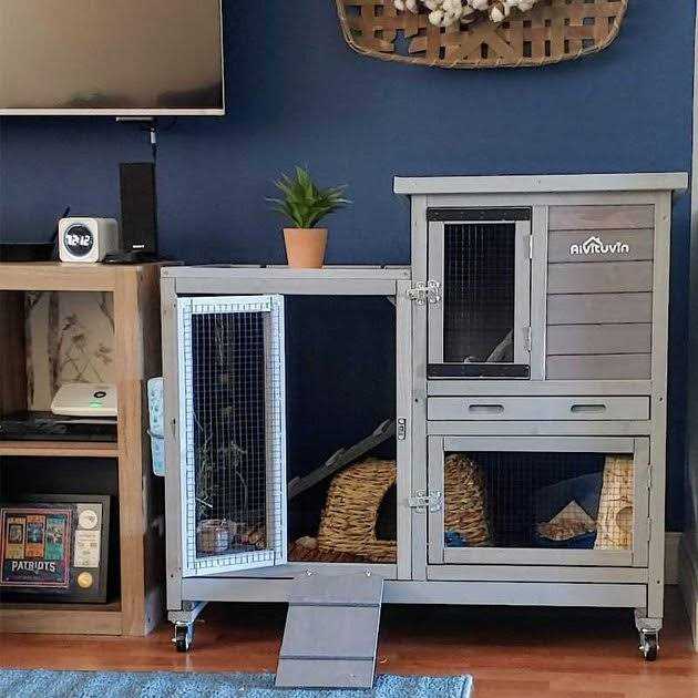 Outdoor & Indoor Bunny Hutch Q4079