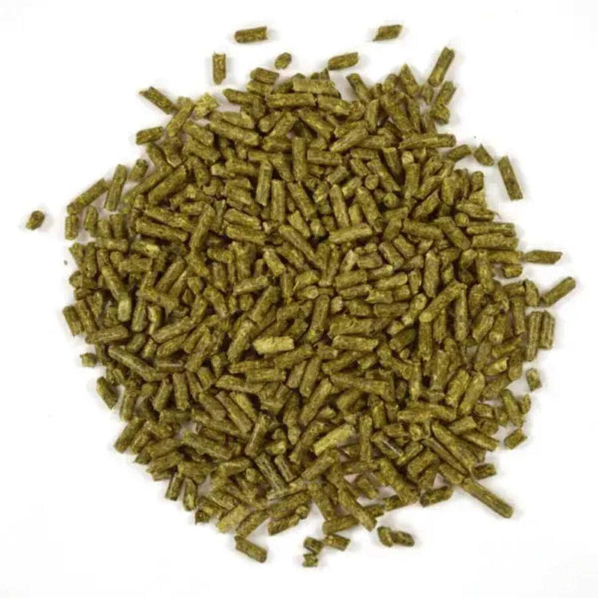 Young Rabbit Food S83582