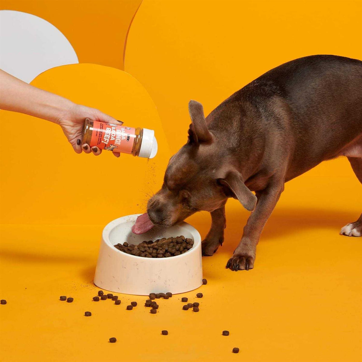 Chicken High Protein Dry Dog Food Topper H87179