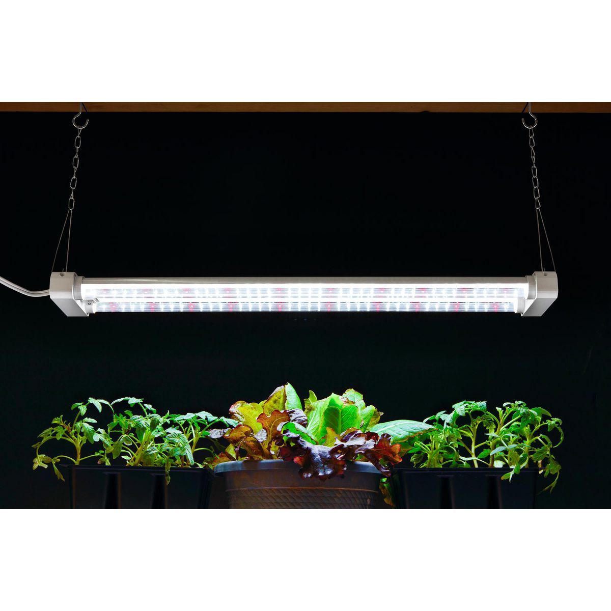 19 Watt 2 ft. Full Spectrum LED Grow Light J643