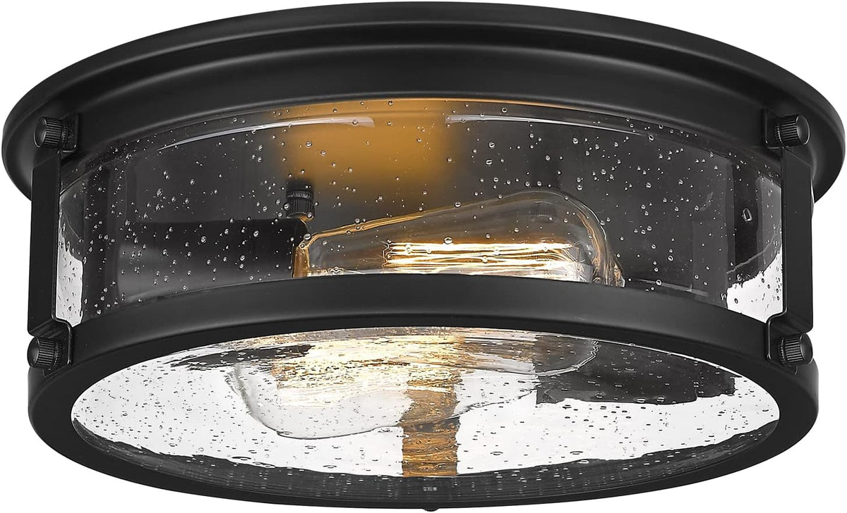 Matte Black 2-Light Metal Cage Ceiling Light Q262