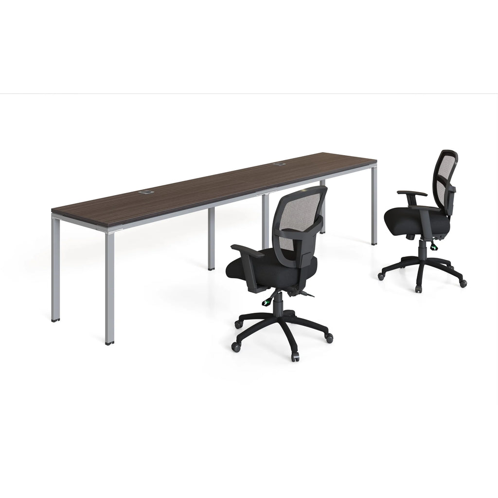 Double Workstation Desks W294