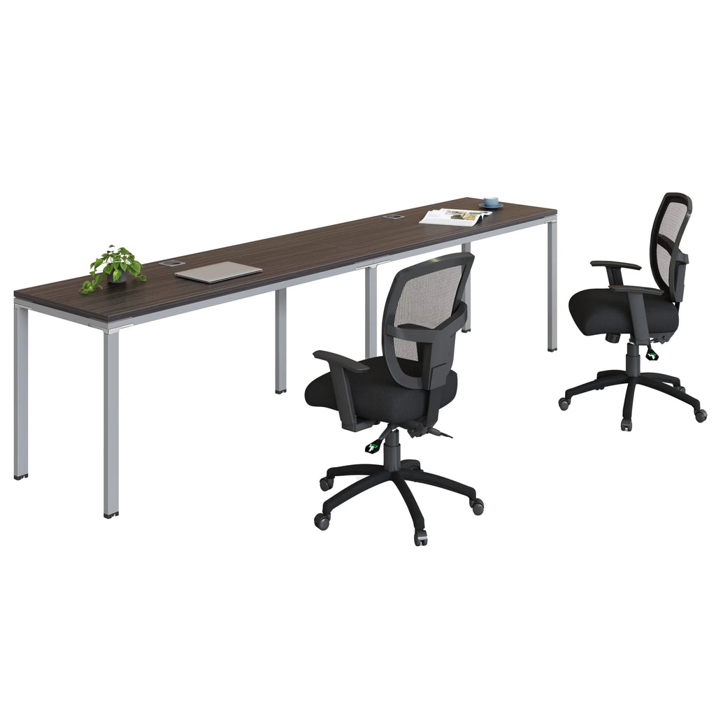 Double Workstation Desks W294
