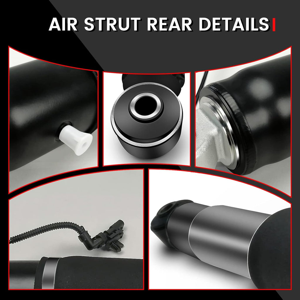 Rear Air Strut Absorber R262