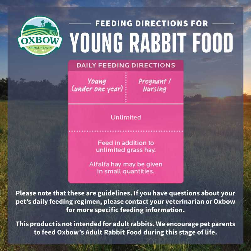 Young Rabbit Food S83582