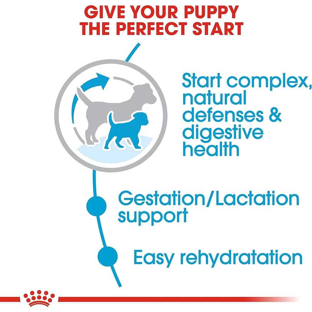 Small Starter Dry Dog Food Y395179