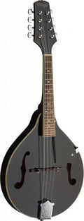 Black Bluegrass Mandolin M224