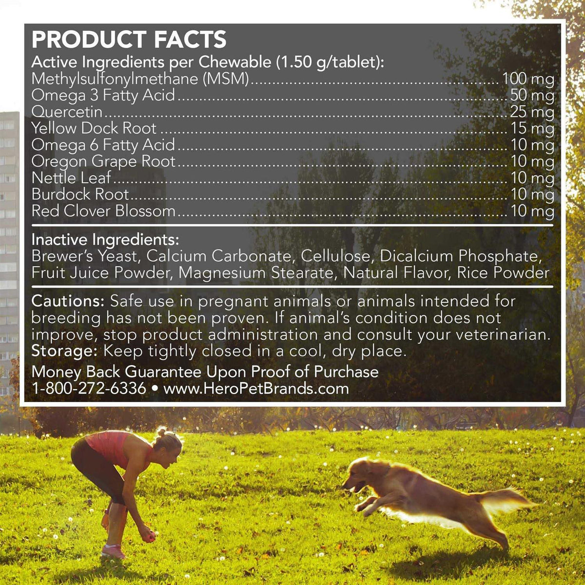 Dog Supplements S133929