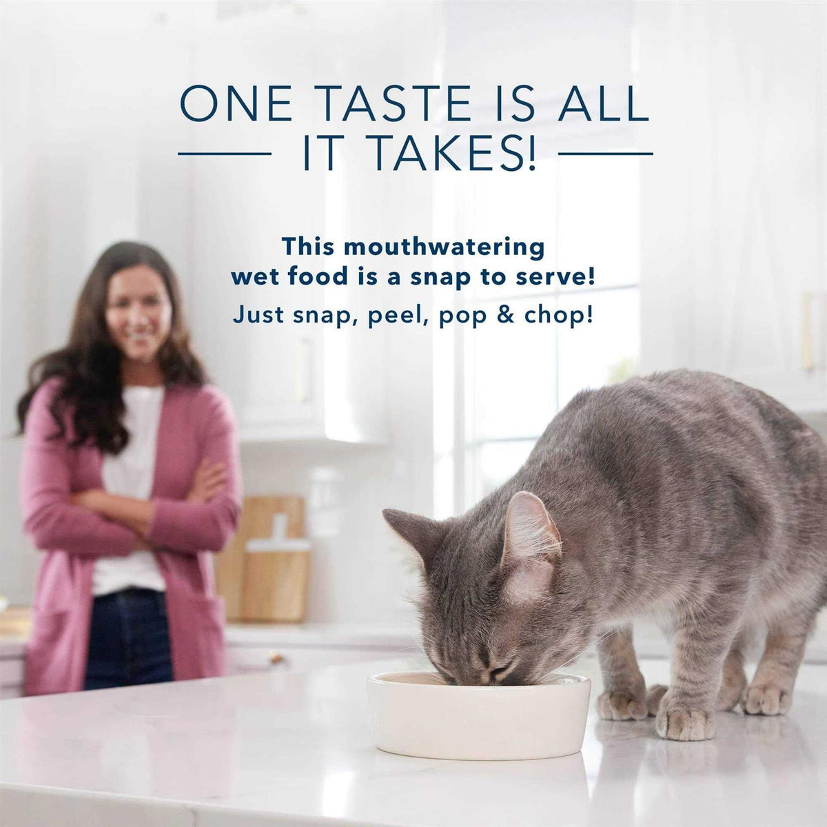 Adult Pate Wet Cat Food V957