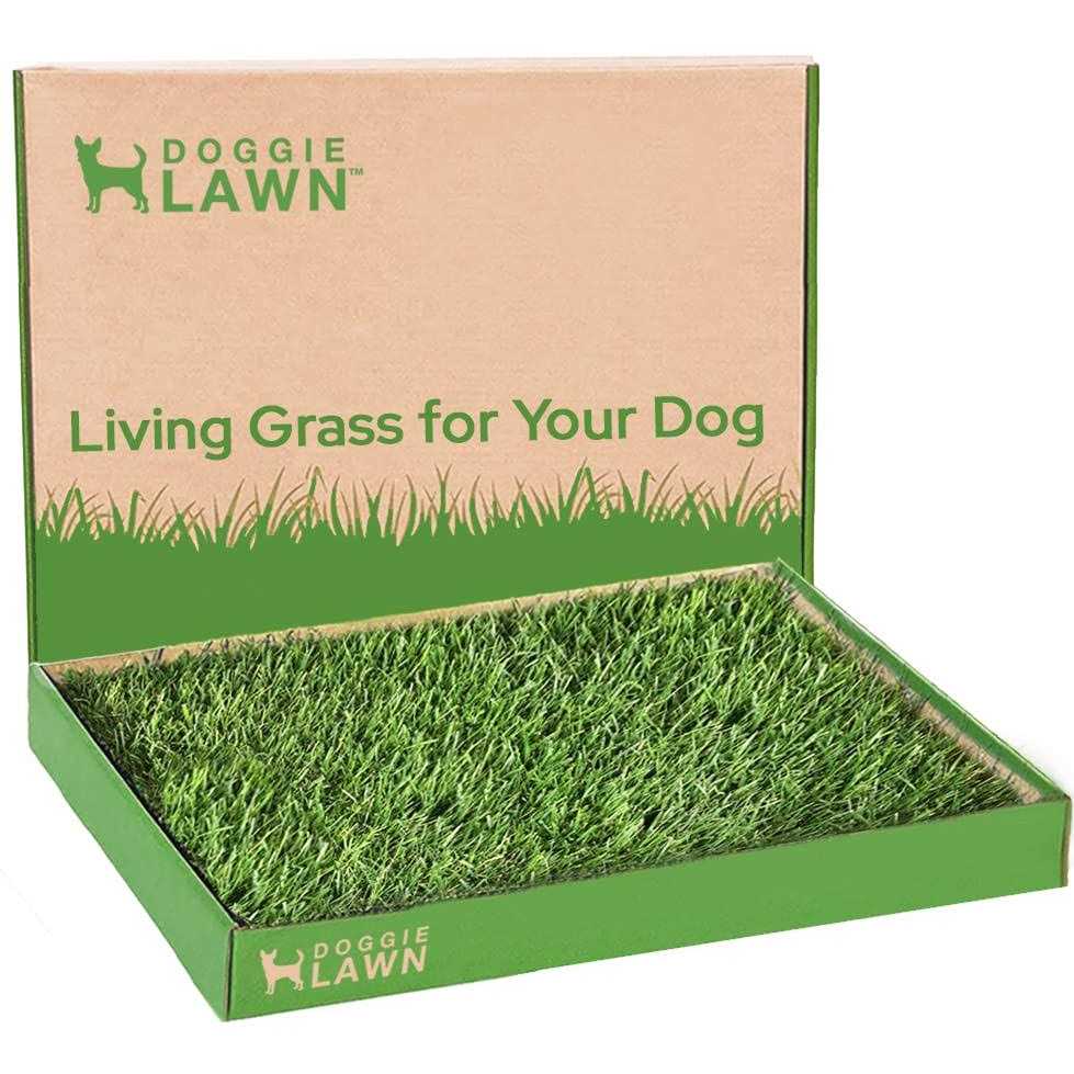Real Grass Puppy Pee Pads A41669