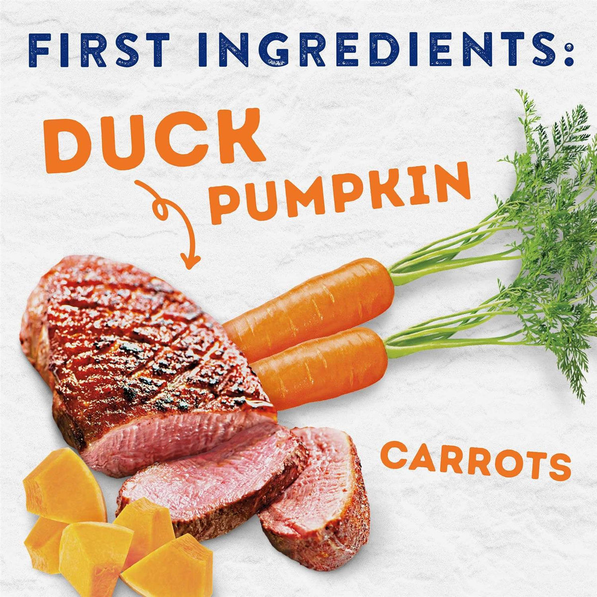 Savory Duck & Pumpkin Recipe Wet Dog Food X482
