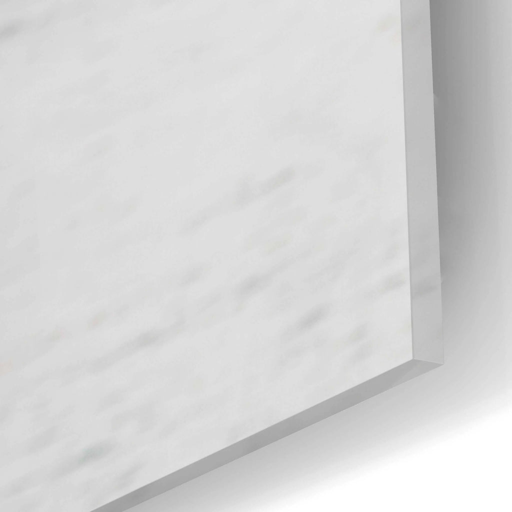 Acrylic Glass Wall Art V6726