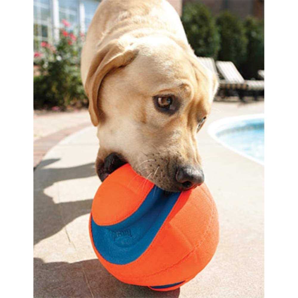 Dog Toy G32409