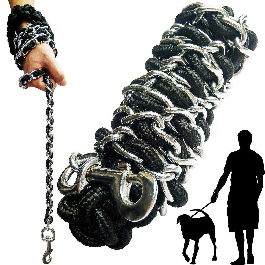 Metal Dog Leash with Collar A19438