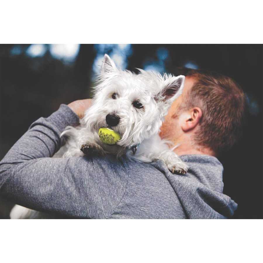 Ball Z5687