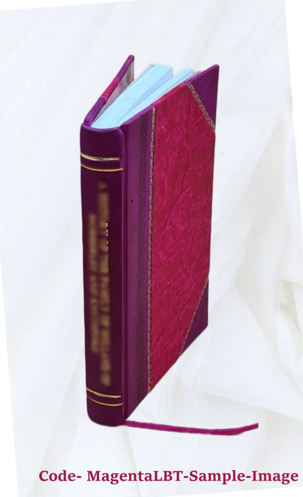 Radiometric Measurement of Uranium and Thorium by Gamma-Ray Spectrometer Leather Bound Z21083