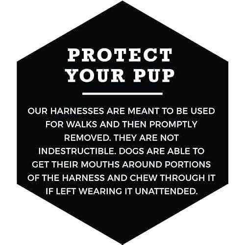 No-Pull Dog Harness V595
