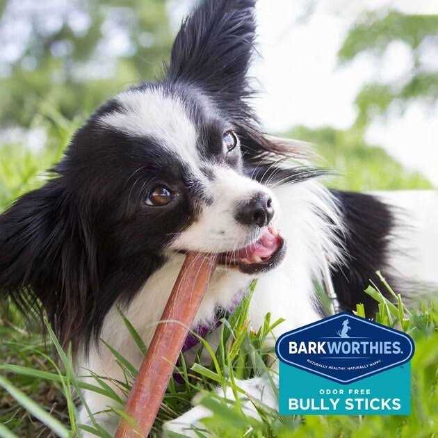 Odor Free Bully M901827