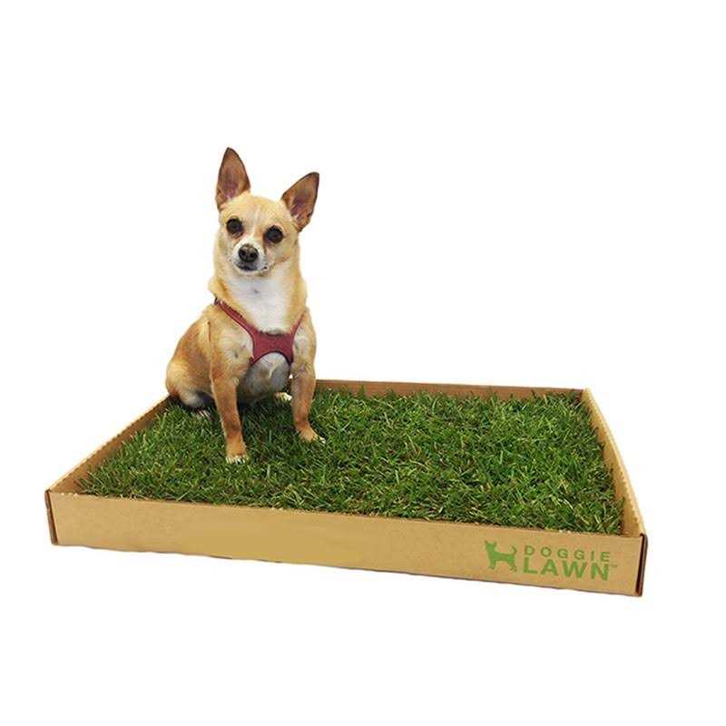 Real Grass Puppy Pee Pads A41669