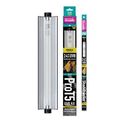 Reptile Kit V2703