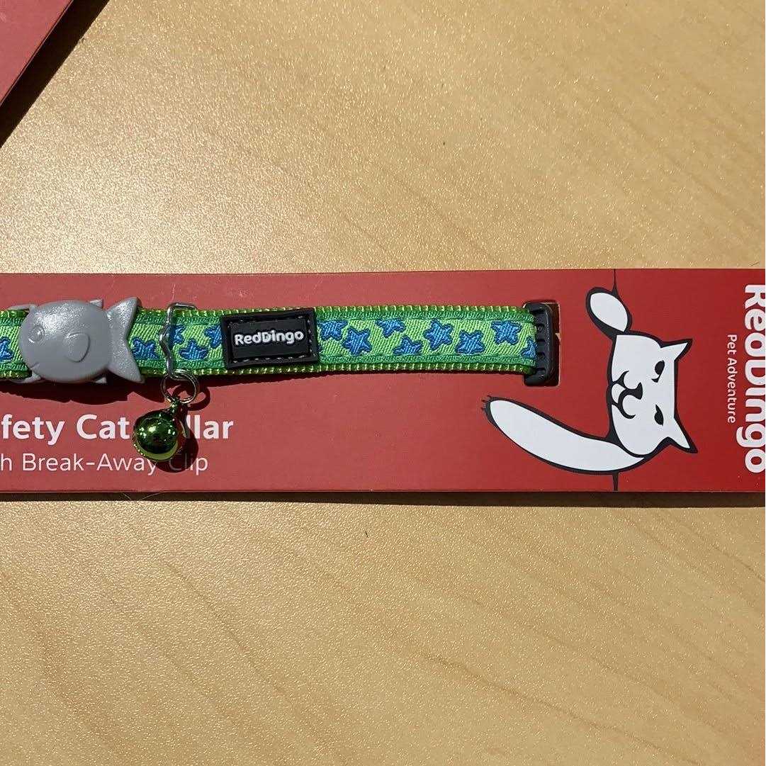 Dog Collar S556