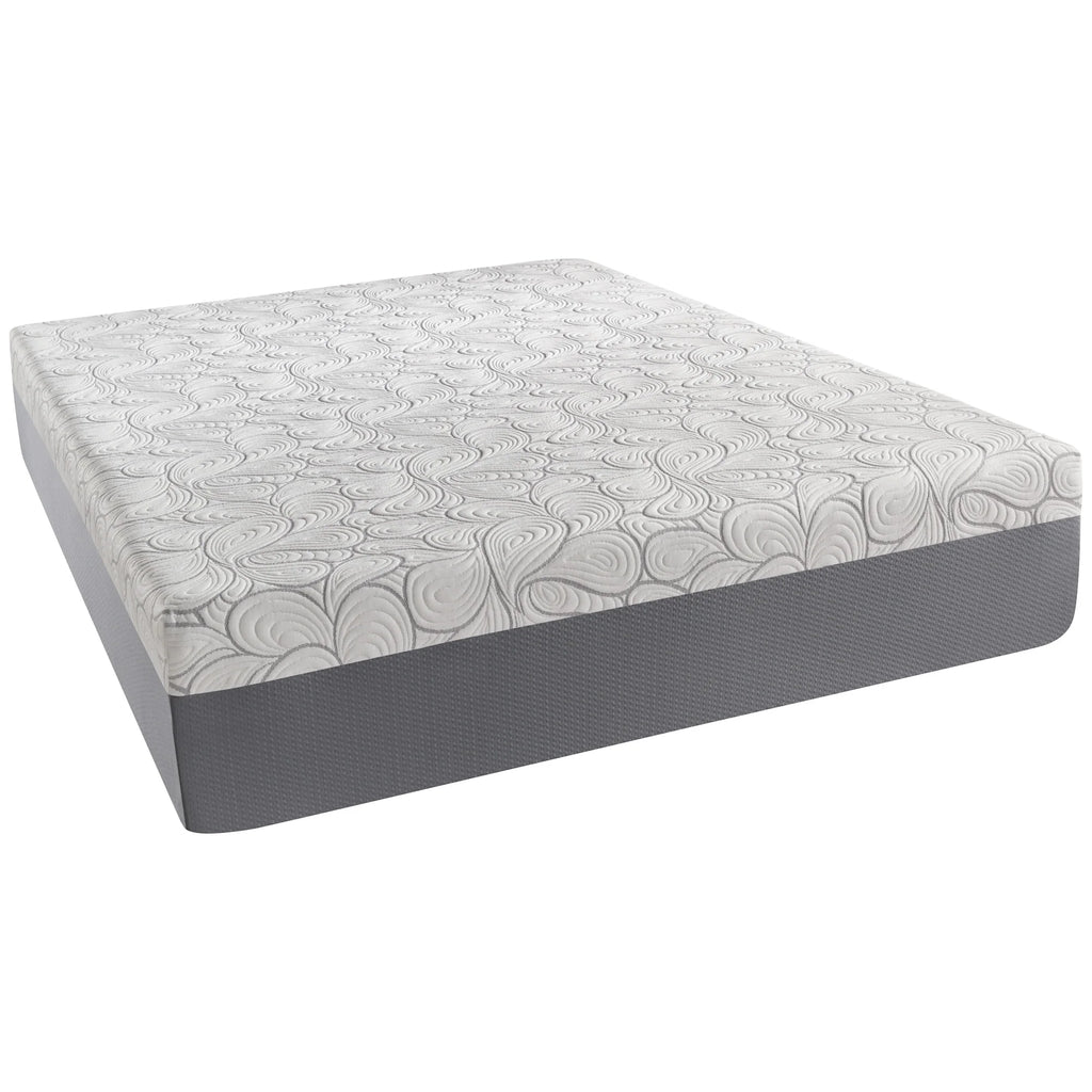 Twin Foam Mattress-in-a-Box Y536