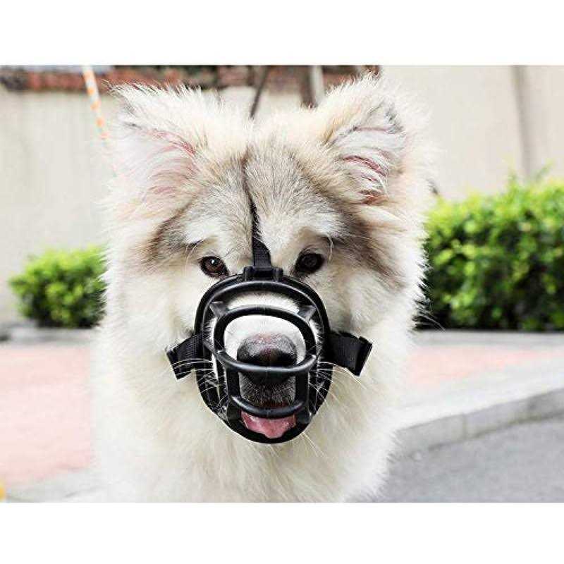 Leather Dog Muzzle I884