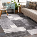 Gray Area Rug F264